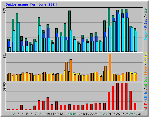 Daily usage for June 2024