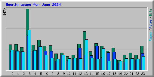 Hourly usage for June 2024