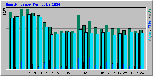 Hourly usage for July 2024