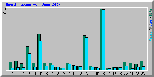 Hourly usage for June 2024